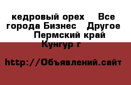 кедровый орех  - Все города Бизнес » Другое   . Пермский край,Кунгур г.